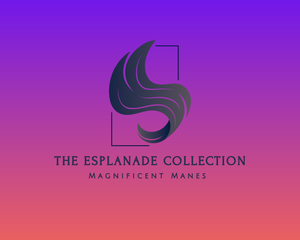 The Esplanade Collection Tee Shirt